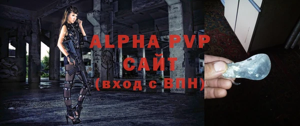 сатива Коряжма