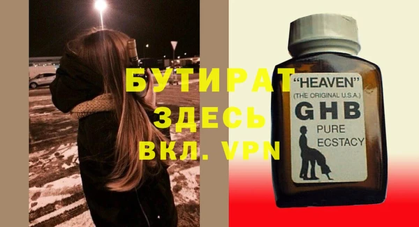 сатива Коряжма
