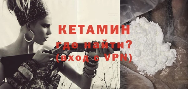 сатива Коряжма