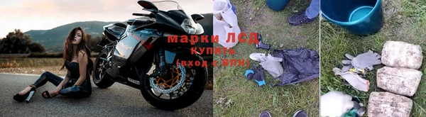 сатива Коряжма