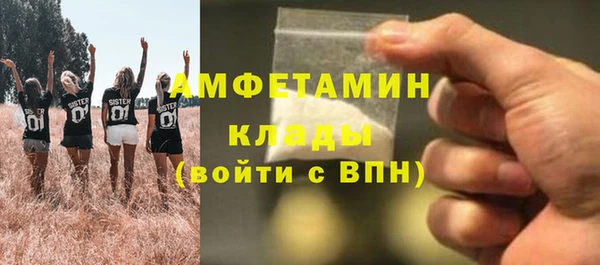 сатива Коряжма